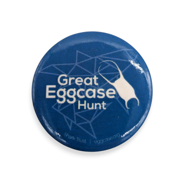 A blue bespoke button badge featuring the logo, branding, and text for
