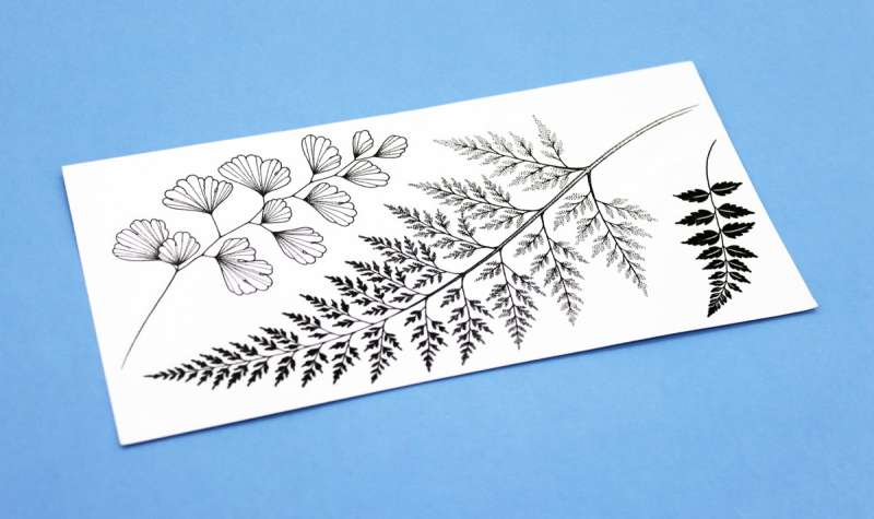 A sheet of black temporary tattoos featuring various plant leaves. The designs have fine lines and delicates shading.