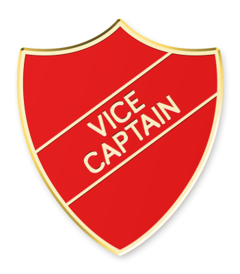 Vice Captain Badges